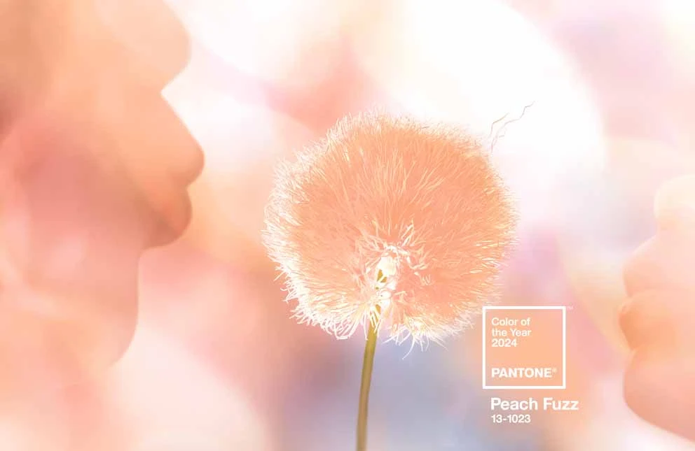 Pantone 2024: Peach Fuzz, eleganza in tonalità pesca